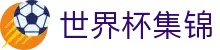 世界杯集锦世界杯专题 - 瑞典对突尼斯、捷克对韩国赛程比分与直播资讯 世界杯集锦世界杯专题 - 瑞典对突尼斯、捷克对韩国赛程比分与直播资讯